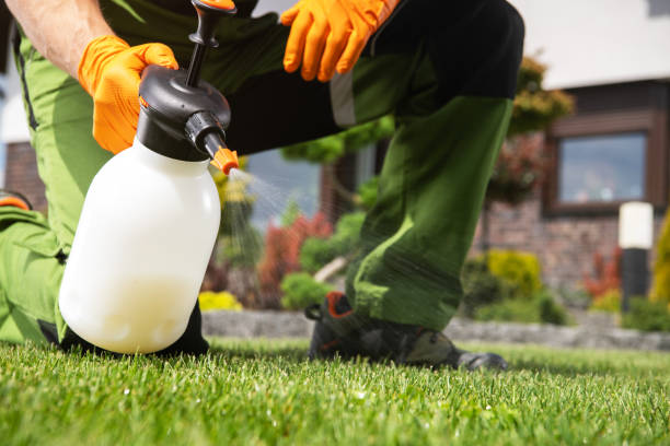 Best Pest Control Treatment  in Sterling, IL