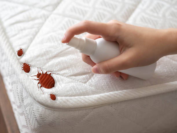 Best Residential Pest Control  in Sterling, IL